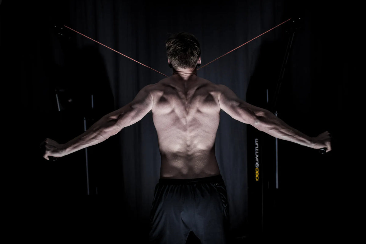 Article: The new paradigm in performance training and rehabilitation