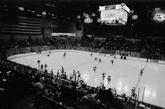 Training Meets Testing: Individualizing Speed and Strength Development in Hockey