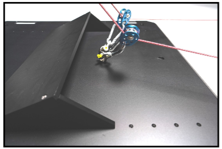 Squat Plate for Quantum