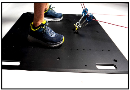 Squat Plate for Quantum